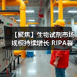 【聚焦】生物试剂市场规模持续增长 RIPA裂解液行业得到快速发展(图4) 【聚焦】生物试剂市场规模持续增长 RIPA裂解液行业得到快速发展(图4)