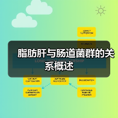脂肪肝与肠道菌群的关系概述（图2）