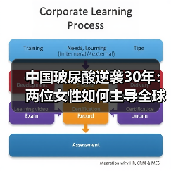 中国玻尿酸逆袭30年：两位女性如何主导全球市场？（图3）
