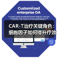 CAR-T治疗关键角色:细胞因子如何提升疗效?(图1) CAR-T治疗关键角色:细胞因子如何提升疗效?(图1)
