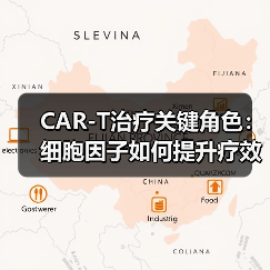 CAR-T治疗关键角色:细胞因子如何提升疗效?(图3) CAR-T治疗关键角色:细胞因子如何提升疗效?(图3)
