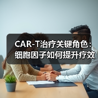 CAR-T治疗关键角色:细胞因子如何提升疗效?(图2) CAR-T治疗关键角色:细胞因子如何提升疗效?(图2)
