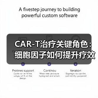 CAR-T治疗关键角色:细胞因子如何提升疗效?(图4) CAR-T治疗关键角色:细胞因子如何提升疗效?(图4)
