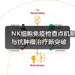 NK细胞免疫检查点机制与抗肿瘤治疗新突破(图2) NK细胞免疫检查点机制与抗肿瘤治疗新突破(图2)