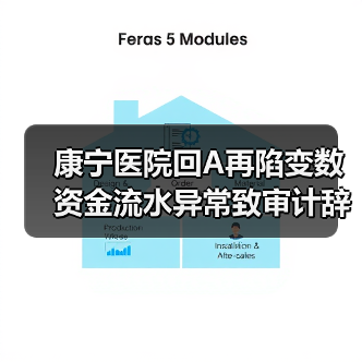 康宁医院回A再陷变数 资金流水异常致审计辞任(图1) 康宁医院回A再陷变数 资金流水异常致审计辞任(图1)