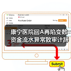 康宁医院回A再陷变数 资金流水异常致审计辞任(图4) 康宁医院回A再陷变数 资金流水异常致审计辞任(图4)