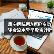 康宁医院回A再陷变数 资金流水异常致审计辞任(图2) 康宁医院回A再陷变数 资金流水异常致审计辞任(图2)
