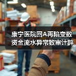 康宁医院回A再陷变数 资金流水异常致审计辞任(图3) 康宁医院回A再陷变数 资金流水异常致审计辞任(图3)