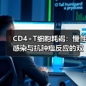 CD4+T细胞耗竭：慢性感染与抗肿瘤反应的双重挑战（图4）