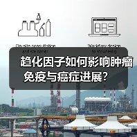趋化因子如何影响肿瘤免疫与癌症进展?(图4) 趋化因子如何影响肿瘤免疫与癌症进展?(图4)