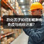 趋化因子如何影响肿瘤免疫与癌症进展?(图3) 趋化因子如何影响肿瘤免疫与癌症进展?(图3)