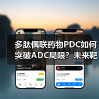 多肽偶联药物PDC如何突破ADC局限?未来靶向治疗新趋势(图1) 多肽偶联药物PDC如何突破ADC局限?未来靶向治疗新趋势(图1)