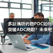 多肽偶联药物PDC如何突破ADC局限?未来靶向治疗新趋势(图2) 多肽偶联药物PDC如何突破ADC局限?未来靶向治疗新趋势(图2)