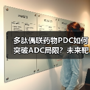 多肽偶联药物PDC如何突破ADC局限?未来靶向治疗新趋势(图4) 多肽偶联药物PDC如何突破ADC局限?未来靶向治疗新趋势(图4)