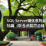 SQL Server调优系列基础篇（联合运算符总结）（图2）