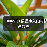 MySQL数据库入门与精通教程(图1) MySQL数据库入门与精通教程(图1)