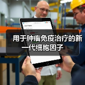 用于肿瘤免疫治疗的新一代细胞因子(图3) 用于肿瘤免疫治疗的新一代细胞因子(图3)