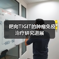 靶向TIGIT的肿瘤免疫治疗研究进展（图3）