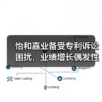 怡和嘉业备受专利诉讼困扰，业绩增长偶发性大，补流合理性成疑（图4）