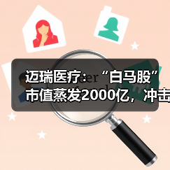 迈瑞医疗：“白马股”市值蒸发2000亿，冲击万亿希望渺茫（图4）