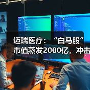 迈瑞医疗：“白马股”市值蒸发2000亿，冲击万亿希望渺茫（图2）