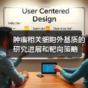 肿瘤相关细胞外基质的研究进展和靶向策略（图2）