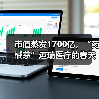 市值蒸发1700亿，“药械茅”迈瑞医疗的春天何时来？（图1）