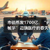 市值蒸发1700亿，“药械茅”迈瑞医疗的春天何时来？（图2）