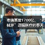 市值蒸发1700亿，“药械茅”迈瑞医疗的春天何时来？（图3）