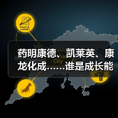药明康德、凯莱英、康龙化成……谁是成长能力最强的医疗研发外包企业?(图1) 药明康德、凯莱英、康龙化成……谁是成长能力最强的医疗研发外包企业?(图1)