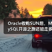Oracle收购SUN后，MySQL开源之路还能走多远？（图1）