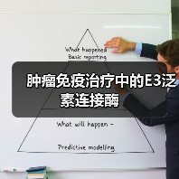 肿瘤免疫治疗中的E3泛素连接酶(图4) 肿瘤免疫治疗中的E3泛素连接酶(图4)