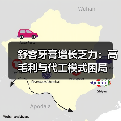 舒客牙膏增长乏力:高毛利与代工模式困局(图4) 舒客牙膏增长乏力:高毛利与代工模式困局(图4)