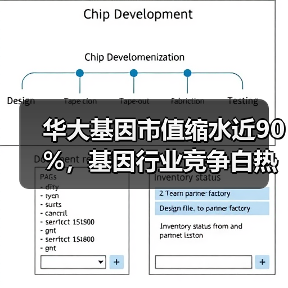 华大基因市值缩水近90%，基因行业竞争白热化下何去何从？（图1）