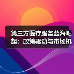 第三方医疗服务蓝海崛起:政策驱动与市场机遇解析(图4) 第三方医疗服务蓝海崛起:政策驱动与市场机遇解析(图4)