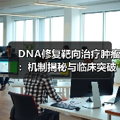 DNA修复靶向治疗肿瘤：机制揭秘与临床突破（图2）
