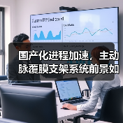 国产化进程加速，主动脉覆膜支架系统前景如何？（图4）