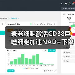 衰老细胞激活CD38巨噬细胞加速NAD+下降的机制（图4）
