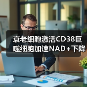 衰老细胞激活CD38巨噬细胞加速NAD+下降的机制（图3）