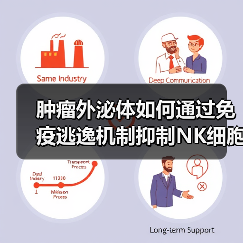 肿瘤外泌体如何通过免疫逃逸机制抑制NK细胞功能？（图1）