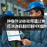 肿瘤外泌体如何通过免疫逃逸机制抑制NK细胞功能？（图2）