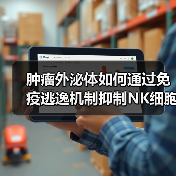 肿瘤外泌体如何通过免疫逃逸机制抑制NK细胞功能？（图3）