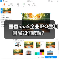 垂直SaaS企业IPO盈利困局如何破解?(图4) 垂直SaaS企业IPO盈利困局如何破解?(图4)