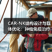 CAR-NK结构设计与载体优化：肿瘤免疫治疗新突破（图2）