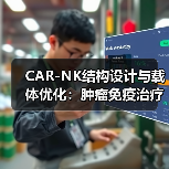 CAR-NK结构设计与载体优化：肿瘤免疫治疗新突破（图3）