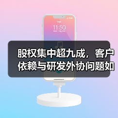 股权集中超九成，客户依赖与研发外协问题如何影响企业？（图4）