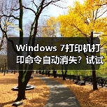 Windows 7打印机打印命令自动消失？试试这个解决方法（图3）