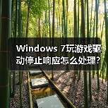 Windows 7玩游戏驱动停止响应怎么处理？（图2）