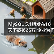 MySQL 5.1版发布10天下载破25万 企业为何青睐开源数据库？（图1）