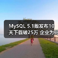 MySQL 5.1版发布10天下载破25万 企业为何青睐开源数据库？（图4）